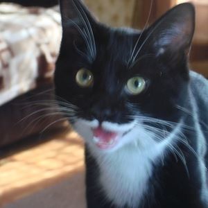 Meet your Posher, Chris